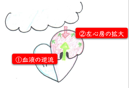心臓3.png